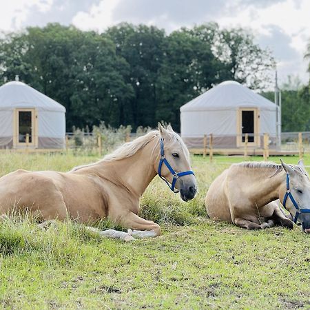 Magnolia Hoeve - Unieke Bestemming Voor Paardenliefhebbers En Bijzondere Overnachtingen In De Natuur Ledeacker Luaran gambar