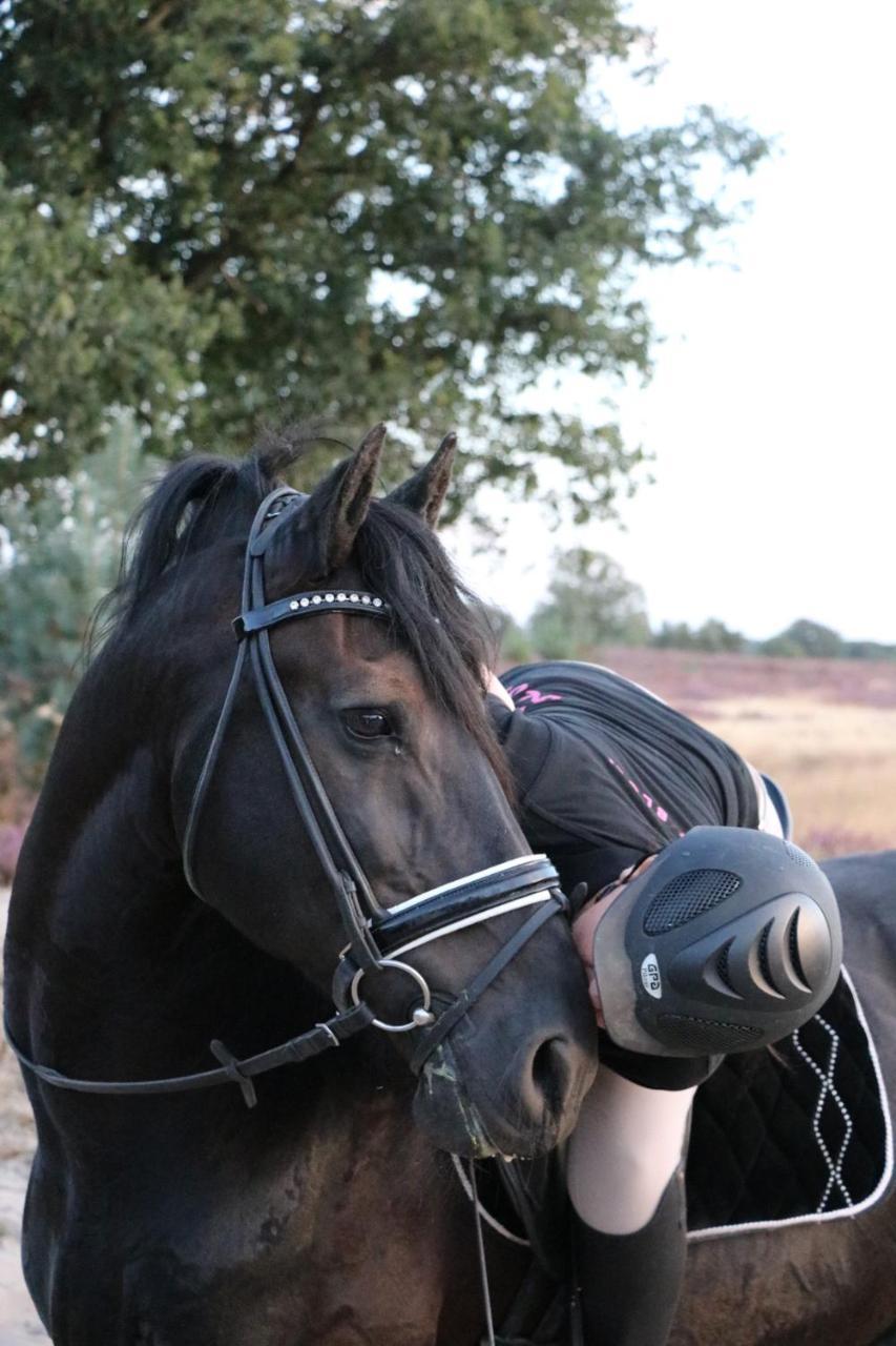 Magnolia Hoeve - Unieke Bestemming Voor Paardenliefhebbers En Bijzondere Overnachtingen In De Natuur Ledeacker Luaran gambar
