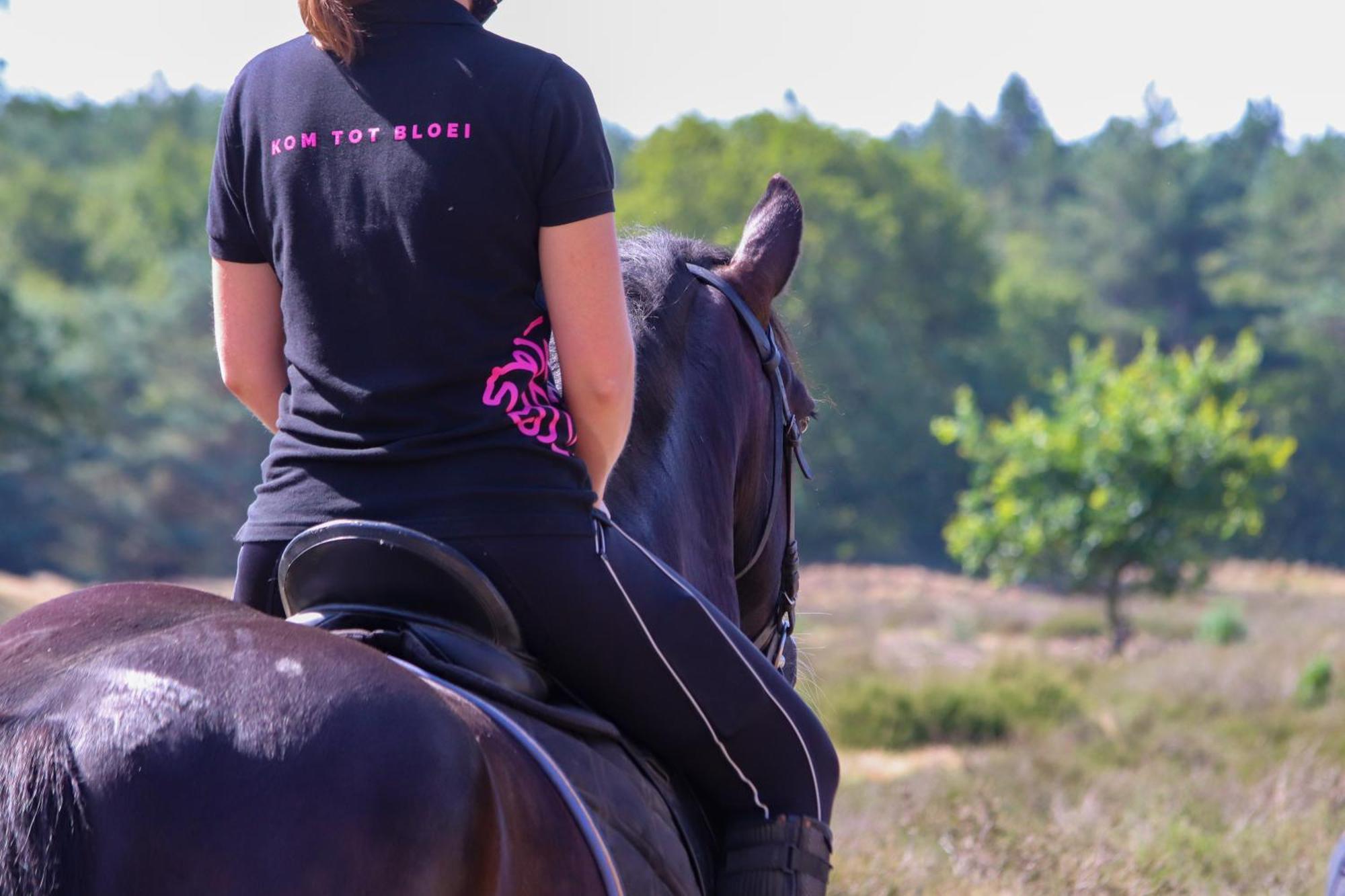 Magnolia Hoeve - Unieke Bestemming Voor Paardenliefhebbers En Bijzondere Overnachtingen In De Natuur Ledeacker Luaran gambar