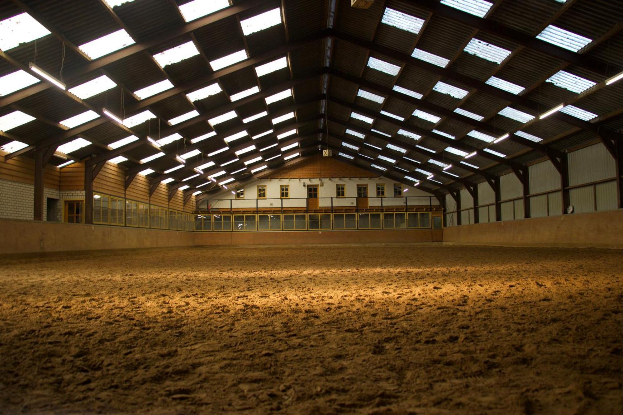Magnolia Hoeve - Unieke Bestemming Voor Paardenliefhebbers En Bijzondere Overnachtingen In De Natuur Ledeacker Luaran gambar