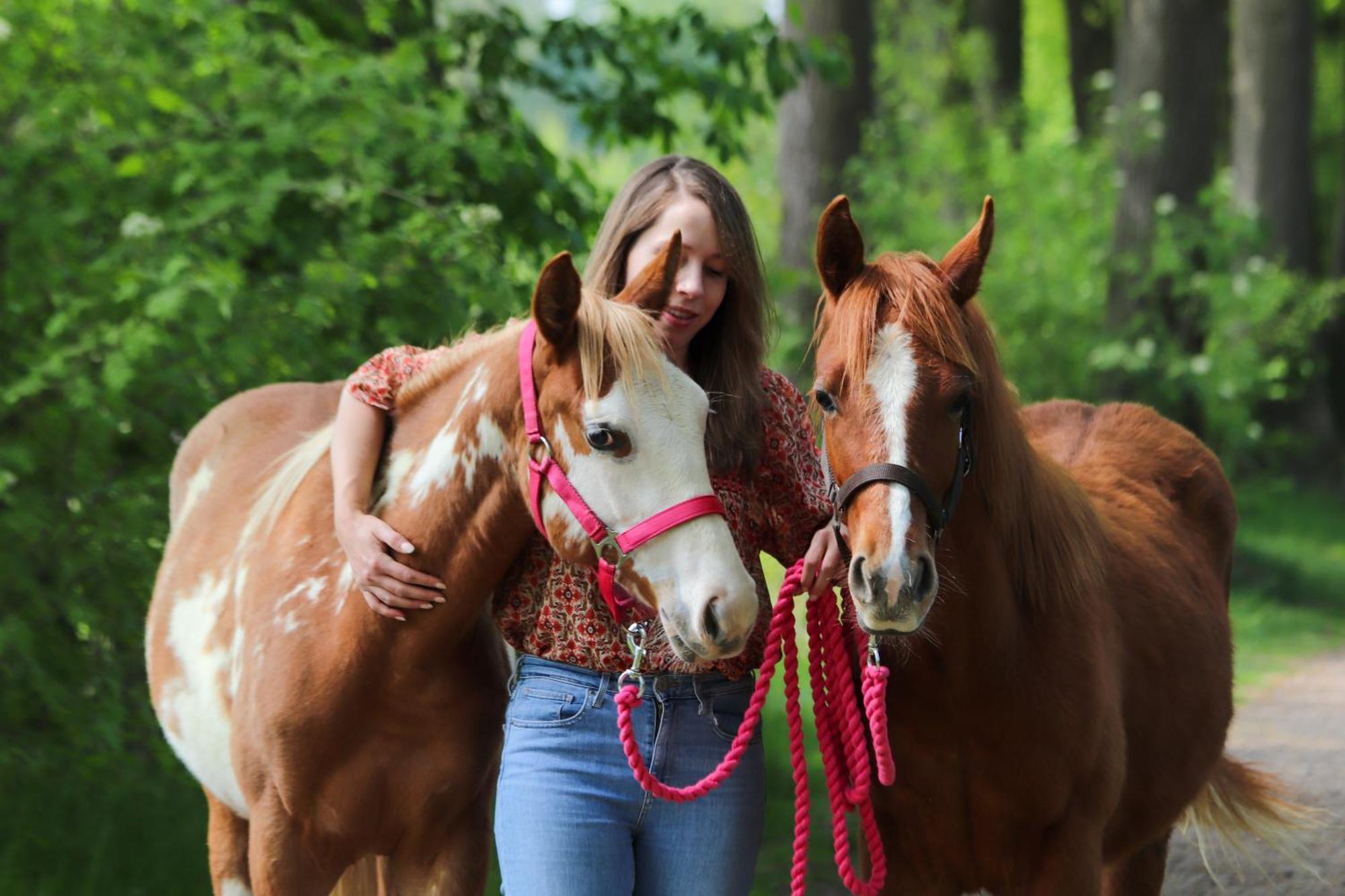 Magnolia Hoeve - Unieke Bestemming Voor Paardenliefhebbers En Bijzondere Overnachtingen In De Natuur Ledeacker Luaran gambar