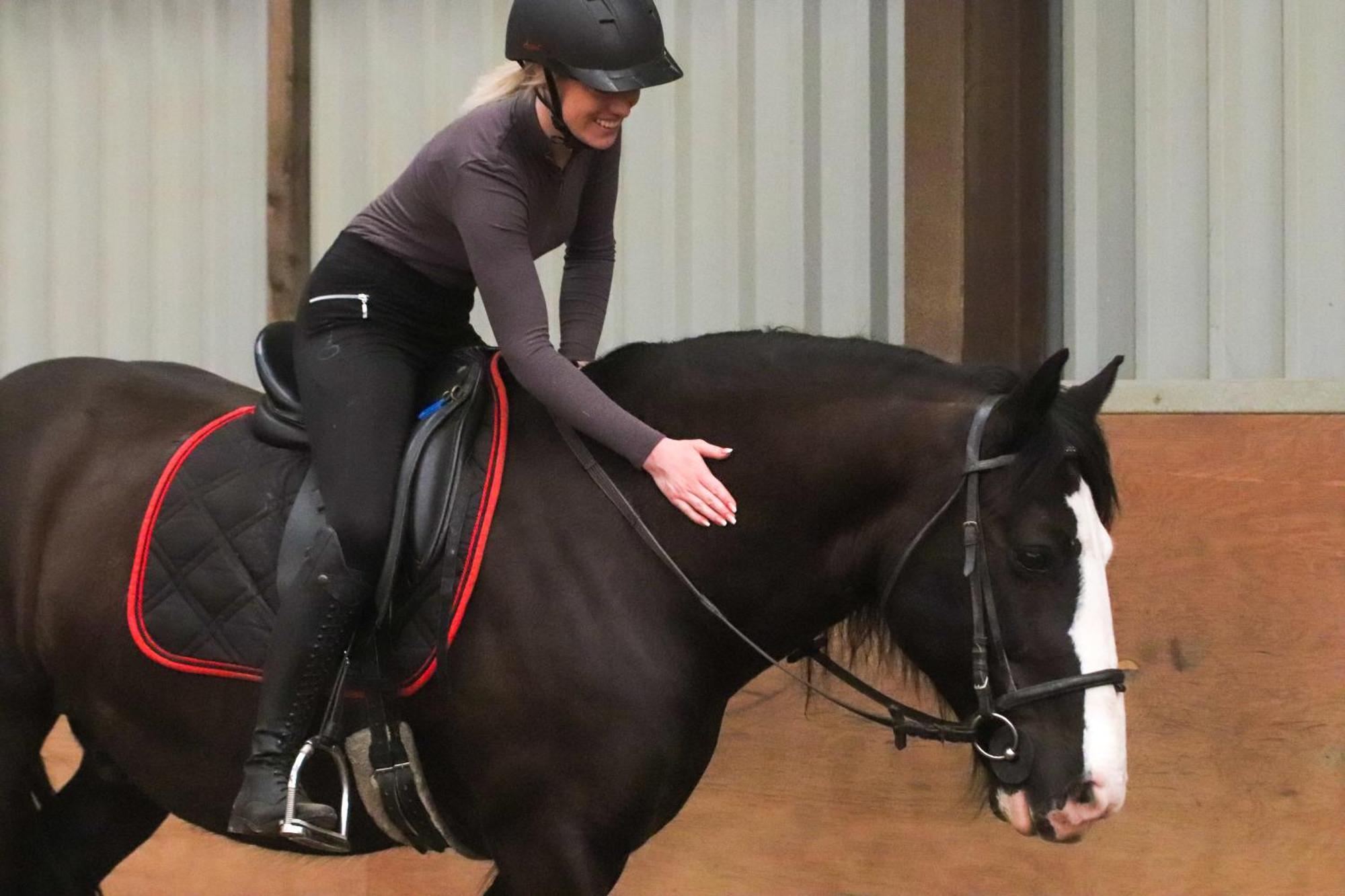 Magnolia Hoeve - Unieke Bestemming Voor Paardenliefhebbers En Bijzondere Overnachtingen In De Natuur Ledeacker Luaran gambar