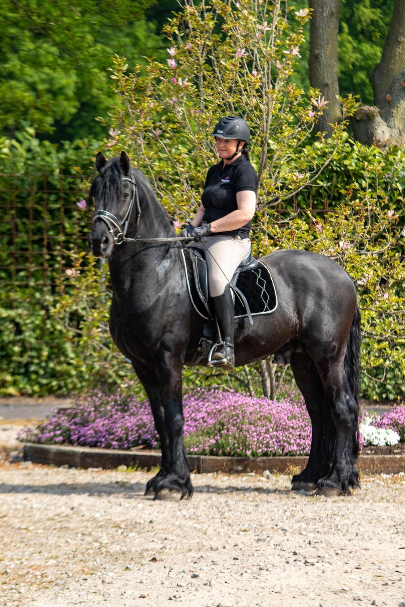 Magnolia Hoeve - Unieke Bestemming Voor Paardenliefhebbers En Bijzondere Overnachtingen In De Natuur Ledeacker Luaran gambar
