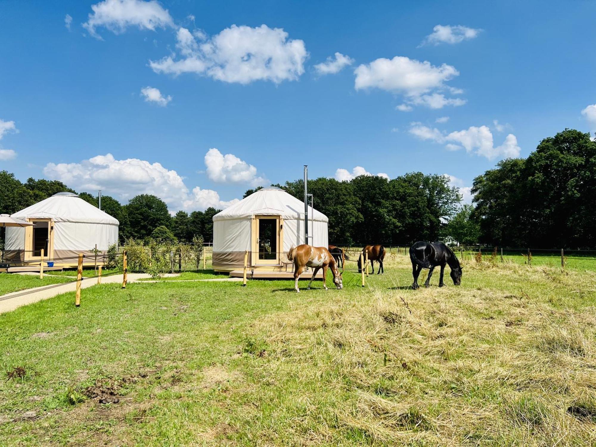 Magnolia Hoeve - Unieke Bestemming Voor Paardenliefhebbers En Bijzondere Overnachtingen In De Natuur Ledeacker Luaran gambar