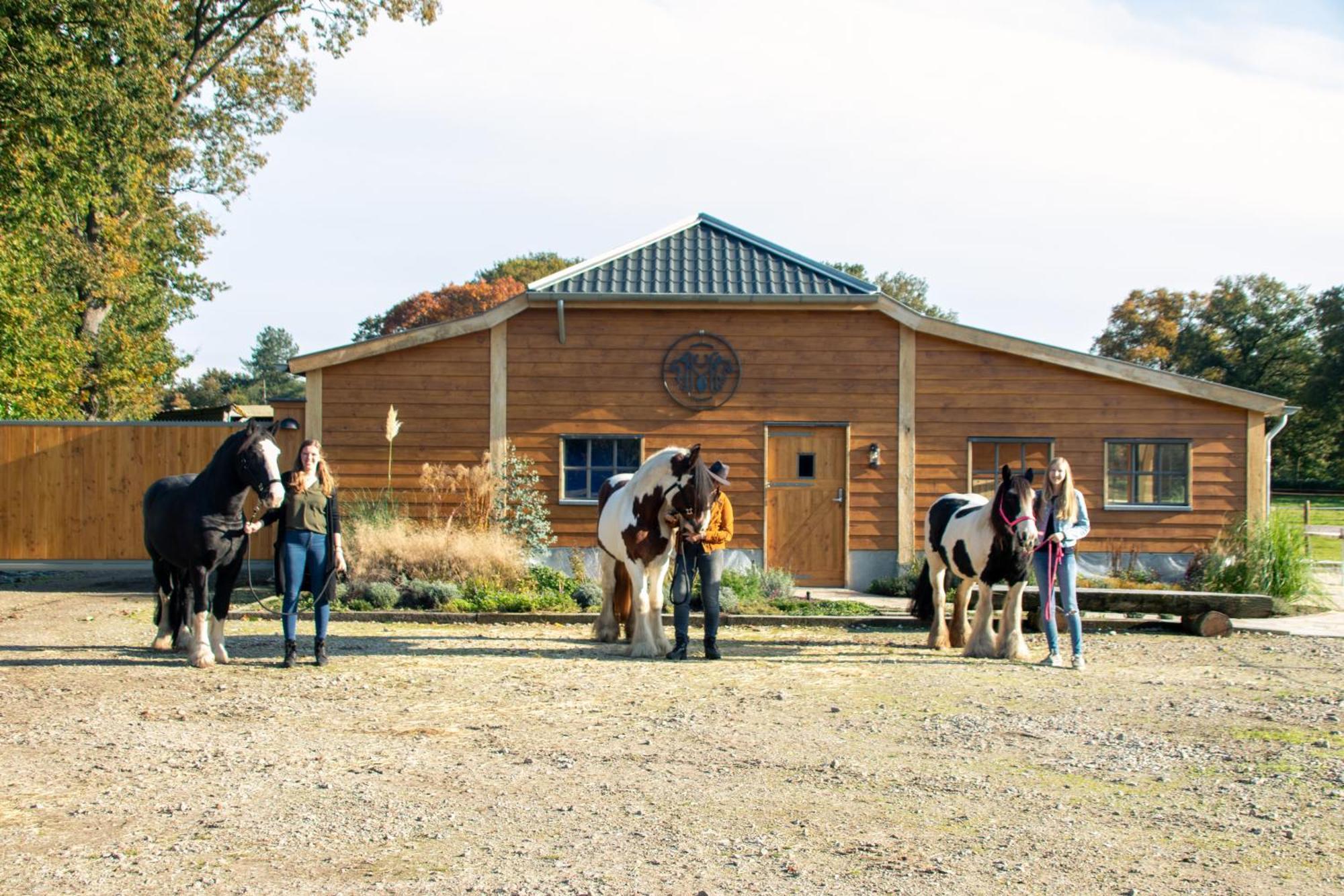 Magnolia Hoeve - Unieke Bestemming Voor Paardenliefhebbers En Bijzondere Overnachtingen In De Natuur Ledeacker Luaran gambar