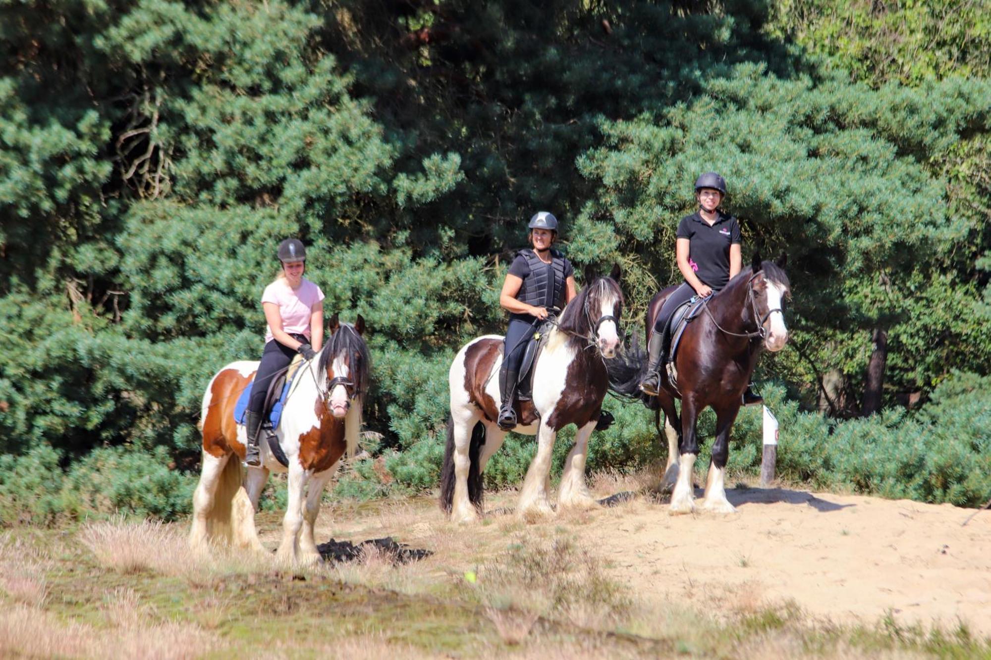 Magnolia Hoeve - Unieke Bestemming Voor Paardenliefhebbers En Bijzondere Overnachtingen In De Natuur Ledeacker Luaran gambar
