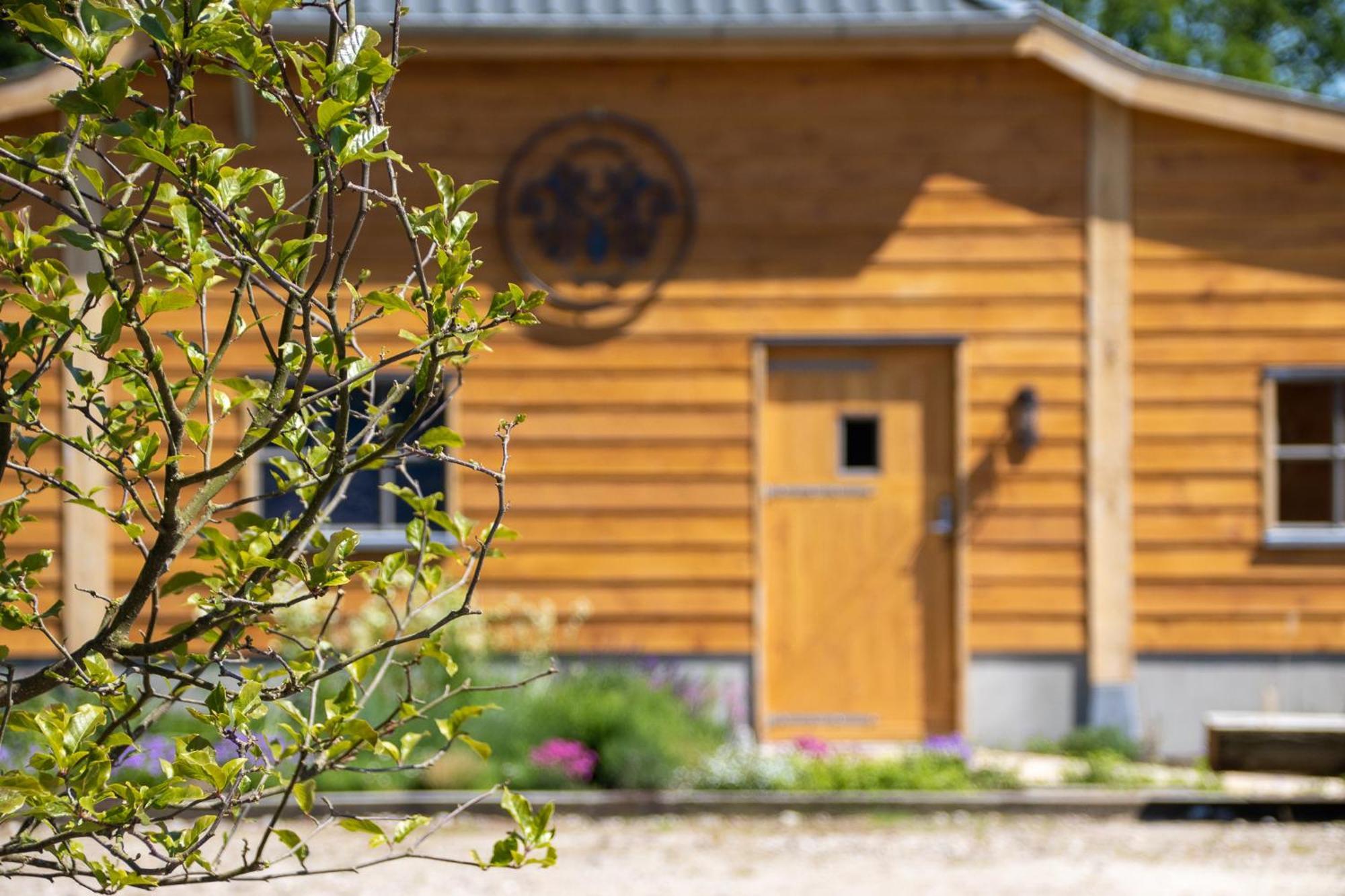 Magnolia Hoeve - Unieke Bestemming Voor Paardenliefhebbers En Bijzondere Overnachtingen In De Natuur Ledeacker Luaran gambar