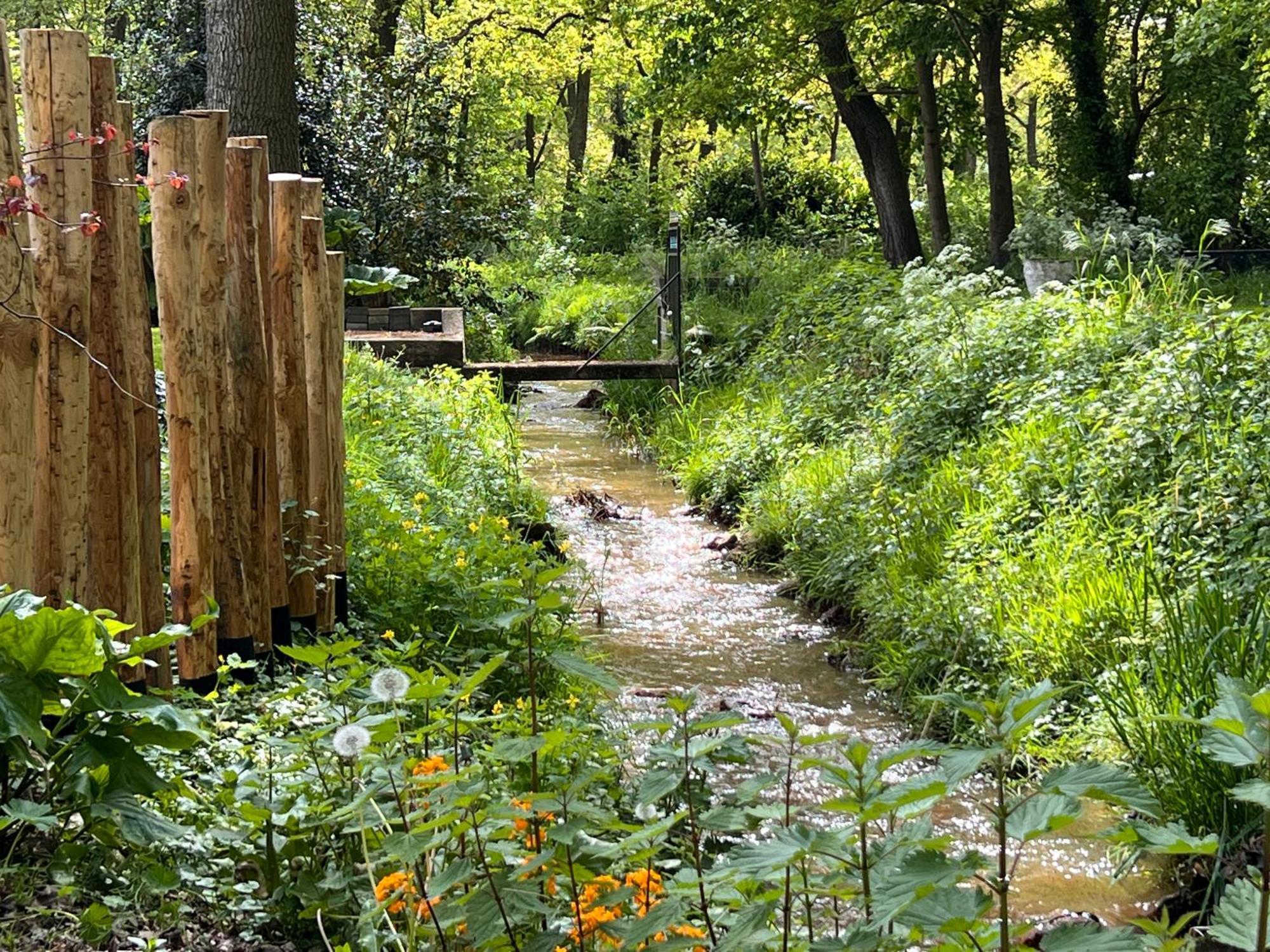 Magnolia Hoeve - Unieke Bestemming Voor Paardenliefhebbers En Bijzondere Overnachtingen In De Natuur Ledeacker Luaran gambar